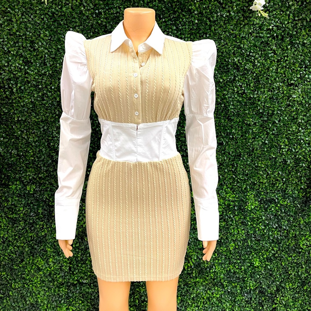Chic Contrast Collar Puff Sleeve Mini Dress